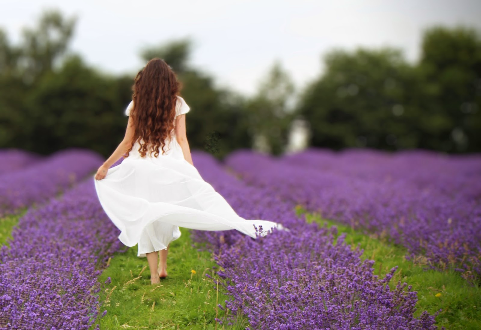 A woman in a white dress walking through a lavender field